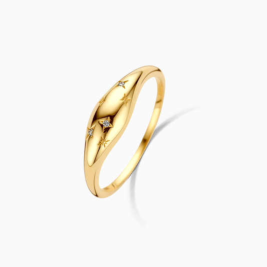 Dome Ring | Guld